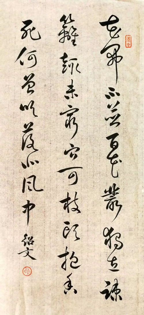 画菊翻译及赏析