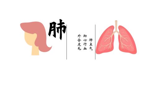 心行符号大全，心行楷怎么写