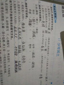 蓄组词有哪些词语