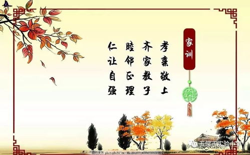 我家的家风家训怎么写，中学生家风家训怎么写