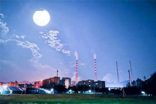 共看明月应垂泪是什么意思，共看明月应垂泪谜语
