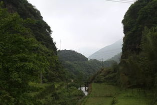 崇山生物的胶原蛋白，崇山峻岭