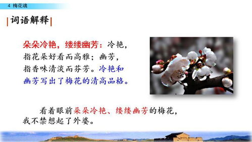 《梅花魂》有感情地朗读课文。想一想课文通过那几件事表达了外祖父对