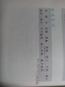 三个向造句二年级简单，三个向造句三年级上册语文短句