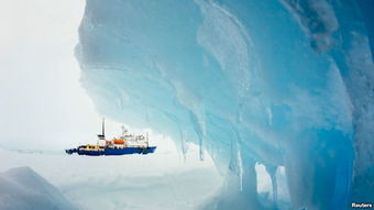 antarctic怎么读