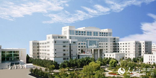 黑龙江工程学院怎么样好不好，黑龙江工程学院2023录取分数线