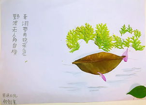 春潮带雨晚来急的下一句是什么作者是谁，两岸猿声啼不住下一句