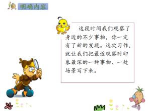 我眼中的缤纷世界作文素材10篇