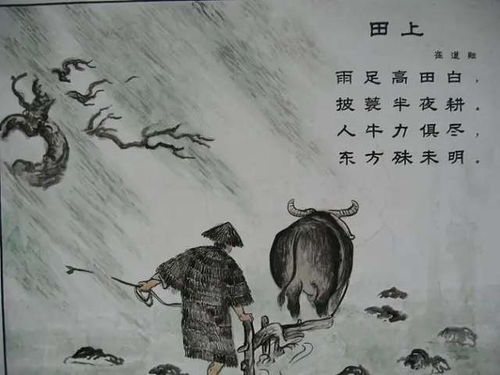 田上崔道融表达的情感，田上崔道融古诗拼音版