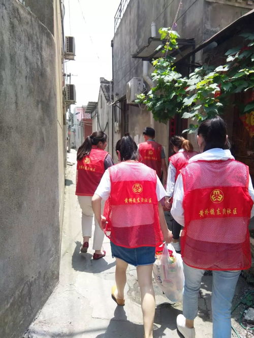 精心的意思