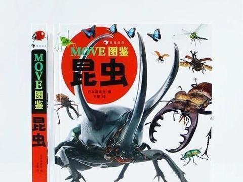 内驱力什么意思?
