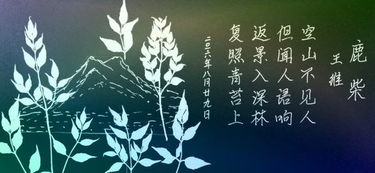 返景入深林,复照青苔上是什么诗?