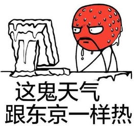 上街天气预报15天气，荥阳上街天气