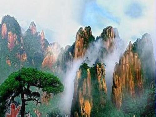复照青苔上的上一句是什么作者是谁，复照青苔上是什么古诗
