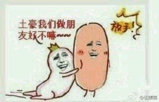 土豪是什么意思