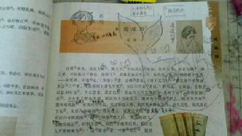 高中必修5逍遥游课文翻译