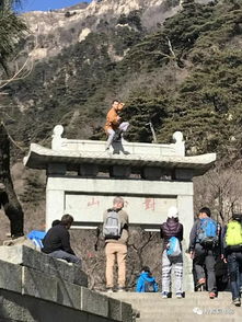 杜甫望岳中的岱宗指的是