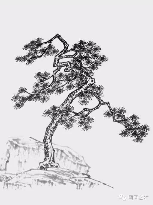 松树怎么画素描，松树怎么画好看