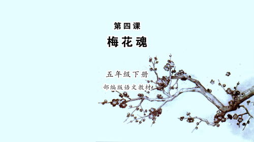 梅花魂朗读比赛一等奖，梅花魂朗读服装