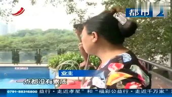 文恬武嬉是什么意思