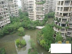 世纪城天鹅湖花园属于哪个街道，世纪城天鹅湖花园读哪个小学