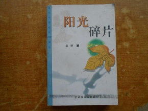 阳光碎片.的作者