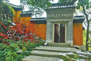 栊是什么意思，栊翠庵茶品梅花雪描写了妙玉的