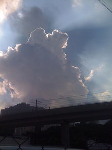 云影是什么
