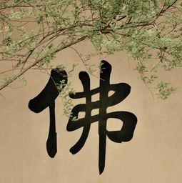 嗔心的读音嗔心的读音是什么