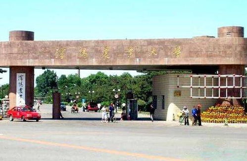 沈阳师范大学是几本线，沈阳师范大学