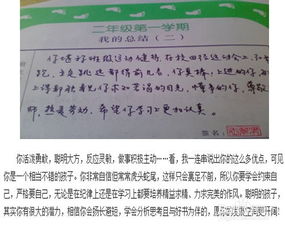 高中班主任评语大全
