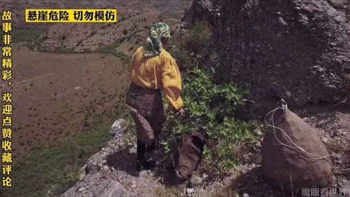 艰苦朴素求真务实，艰苦朴素方面存在问题及整改措施