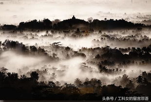 而绝江河绝的意思?