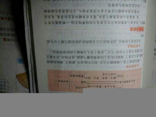 老人与海主要内容50字