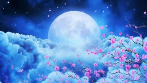 春花秋月何时了?什么意思