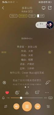 多年以后歌词大欢，多年以后歌词含义