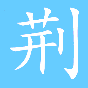 田字格写荆