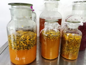发酵酒与蒸馏酒区别?