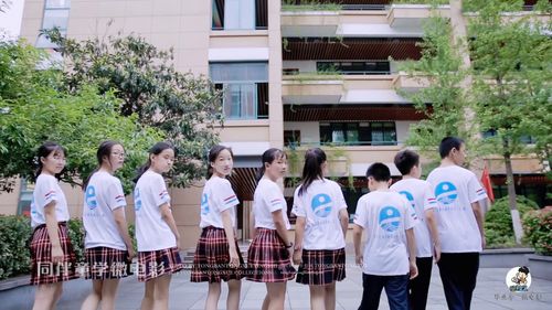 文清小学和文海小学什么关系
