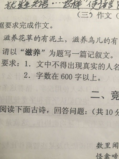 有关我的初中生活作文600字