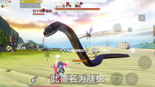 虺蛇是什么动物，虺蛇怎么读拼音