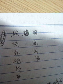 带水字旁的字有哪些，带木字旁的字有哪些
