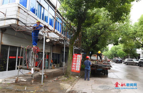 陆埠镇初级中学，陆埠镇中心小学