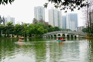 深圳市南山区四海公园的金牛是真的铜雕塑吗