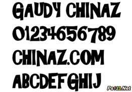 gaudy怎么读，gaudy with