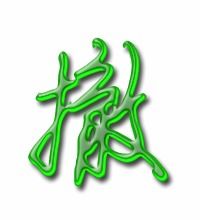 撤组词什么有条