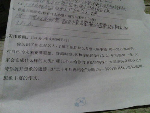 四年级我的乐园400字作文，我的乐园400字作文四年级上册