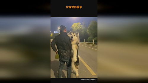 倔犟的成语倔犟的成语是什么