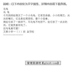 小动物乌龟作文
