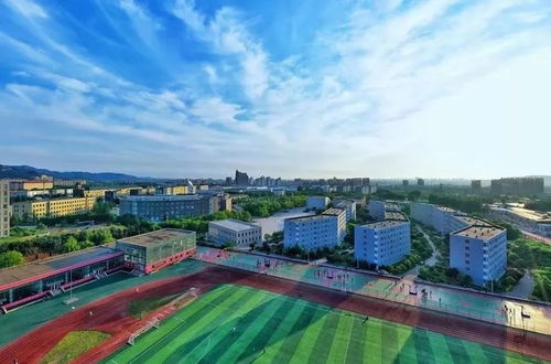 青岛琴岛学院是正牌大学吗